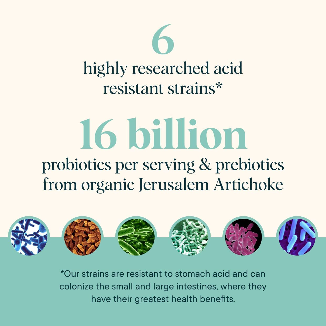 Ora Organic Probiotics with Prebiotics - 60ct